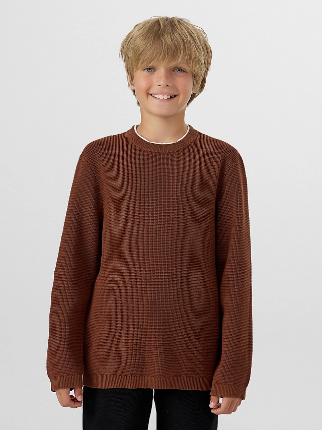 

Джемпер для мальчиков коричневый, 25-36681Ц-В