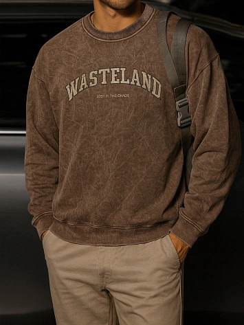 Свитшот мужской коричневый с надписью "wasteland"