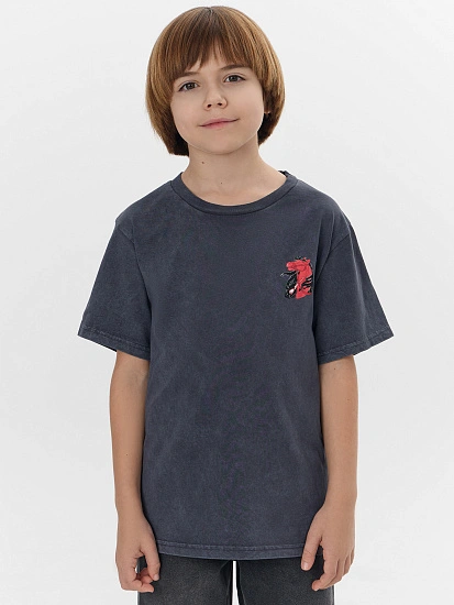 картинка ФУТБОЛКА ДЛЯ МАЛЬЧИКОВ от магазина одежды для мальчиков от бренда Mark Formelle